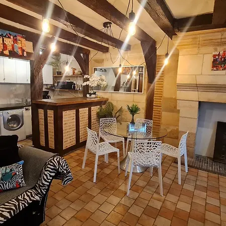 Maison Historique Plumereau: Spacious Center Haven * Tours